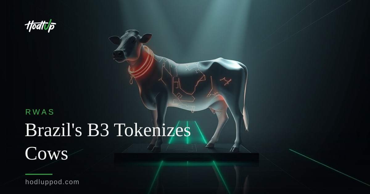 B3 Registers First Tokenized Dairy Cow Loan for R$100,000 — HodlUp RWAs